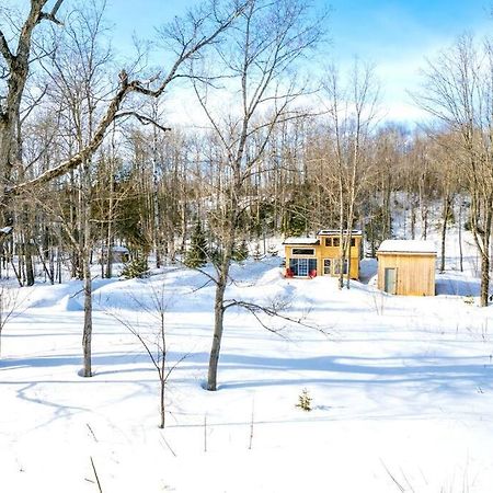 Cozy Cabin For Intimate Wilderness Escape Bathurst Exterior foto